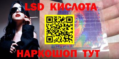 прущие грибы Можга