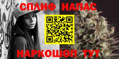 прущие грибы Можга