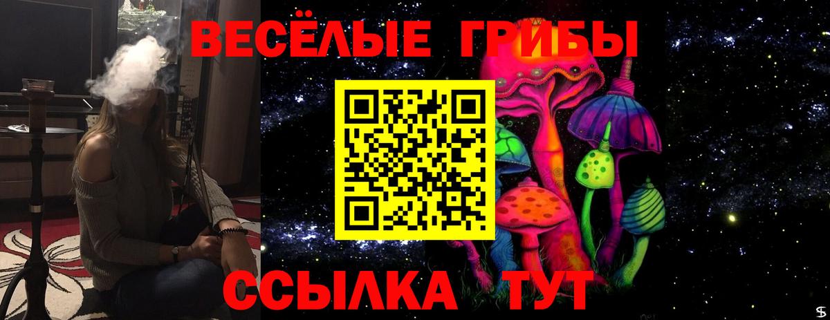 Чебоксары  Галлюциногенные грибы мицелий  Вход с VPN 